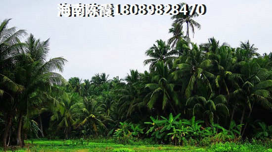 恒大養生谷效果圖