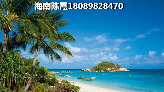 海口屬于什么氣候冬天冷嗎？